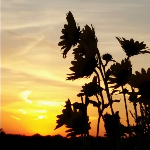 Meet your Posher, Kristin - Picture 3 of 3